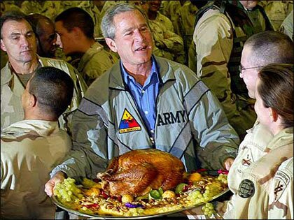 bush/turkey